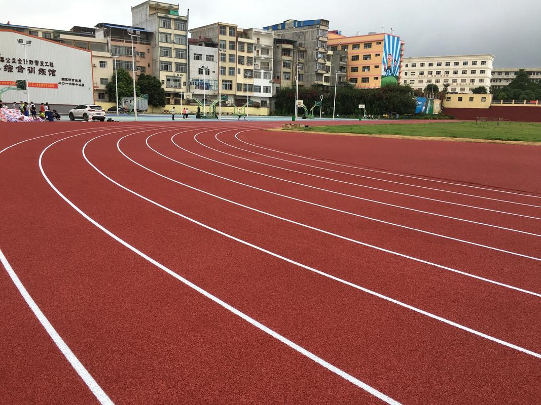 大理白族自治州塑胶跑道材料塑胶跑道材料 - 方案